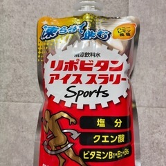 リポビタン　アイススラリーsports  ハニーレモン風味 120g×6袋 
の画像