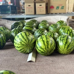 【本日7/28(月)限定】名物高糖度すいかコンテナ売りの画像