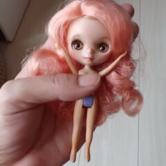 プチブライス◆カスタムの画像