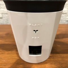 ✨期間お値下げ！✨観葉植物 アグラオネマ シルバークィーン 底面給水ポット4号サイズ プラ鉢の画像