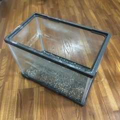 30センチガラス水槽×2個セットの画像