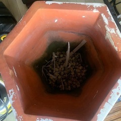 無料　鉢　ヒビがありますが使えますの画像