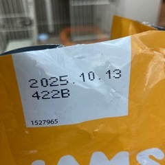 アイムス　子犬用　カリカリの画像