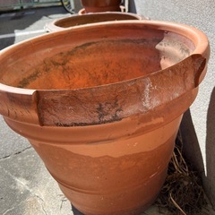 植木鉢の画像