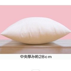  ★極美品★ 2 つセット　クッション中身　の画像