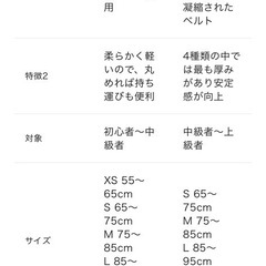 GOLD'S GYM G3324 プロレザーベルトの画像