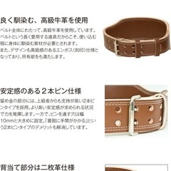GOLD'S GYM G3324 プロレザーベルトの画像