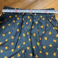 op オーシャンパシフィック　ハーフパンツ ショートパンツ　海パン　水着　水陸兼用の画像