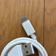 充電ケーブル（定型文の方お断り）の画像