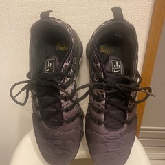 NIKEヴェイパーエアマックスの画像