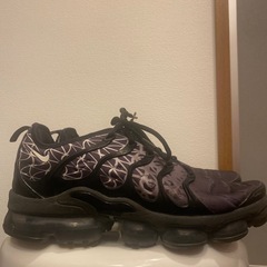 NIKEヴェイパーエアマックスの画像
