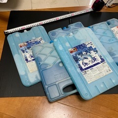 保冷剤11個　大6 5個　中小5個の画像