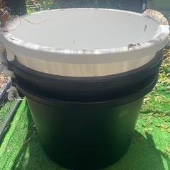 メダカ　30Lバケツ　４個セットの画像