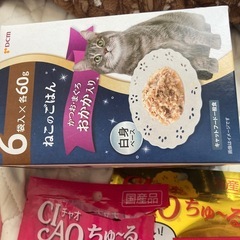 キャットフードとおやつの画像