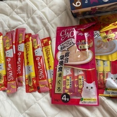 キャットフードとおやつの画像