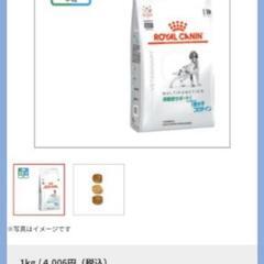 ドッグフード　ロイヤルカナン定価10,667円の画像