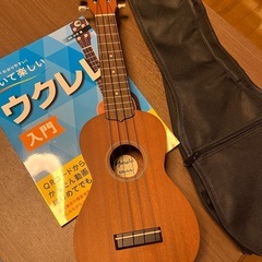 ウクレレセットの画像