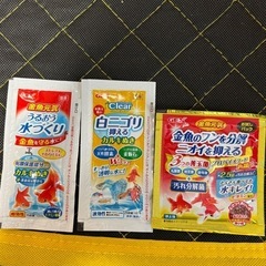 金魚・メダカ飼育セットの画像
