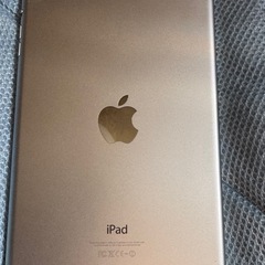 ipad mini2wifiモデルの画像