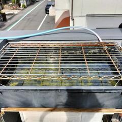 メダカ飼育　トロフネ（60）オマケ付きの画像