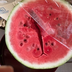 一旦終了します。　スイカ🍉の画像