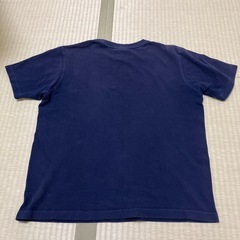 ラコステTシャツの画像