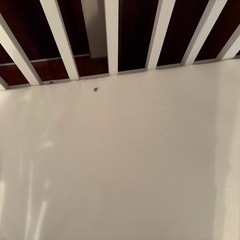 そいねーる　ベビーベッドの画像