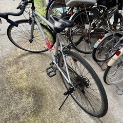 自転車スポーツ形(2)の画像