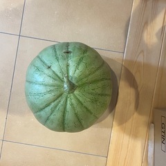 【本日限定】野菜セット、スイカ
の画像