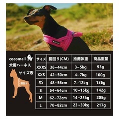 犬用ハーネス、リードのセット（新品）
の画像