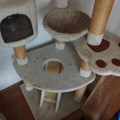 キャットタワー　１８０センチの画像