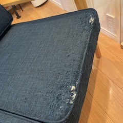 2.5人掛けソファ(猫の作品入り)の画像