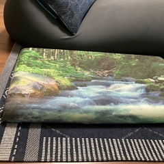 ごろ寝クッションの画像