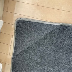 ホットカーペットの画像