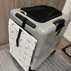 【美品】PETiCO ペットキャリー　Lサイズ　※アクセサリー付の画像