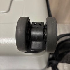 【美品】PETiCO ペットキャリー　Lサイズ　※アクセサリー付の画像