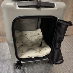 【美品】PETiCO ペットキャリー　Lサイズ　※アクセサリー付の画像