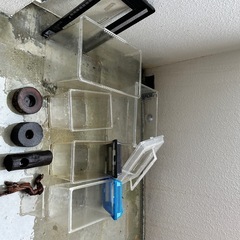 虫かご　セットの画像