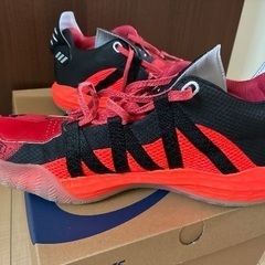 adidasバスケットボールシューズ DAME6の画像