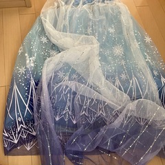 エルサセットの画像