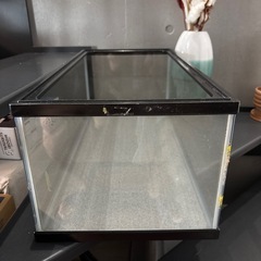 ガラス水槽の画像