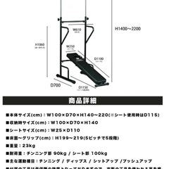 FIGHTING ROAD 懸垂マシーンの画像