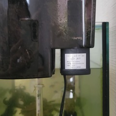 水槽用フィルターの画像