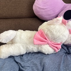 マリーちゃん 美品 今期 ぬいぐるみの画像