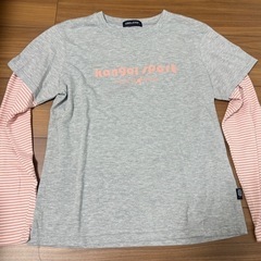コムサ　　KANGOL Tシャツ　の画像