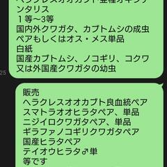 昆虫くじエキゾチックアクアショップイグズの画像