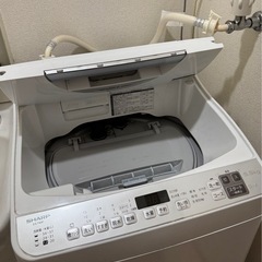 シャープ 全自動洗濯機 ES-TX5F（5.5kg）の画像