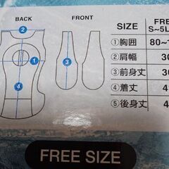 ICEMAN RROの画像