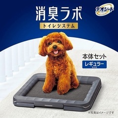 デオシート　本体セットの画像