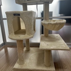 キャットハウスの画像